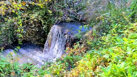 A small stream cascades down in the forest. Light creates a mystical atmosphere. Stock Footage 305411883