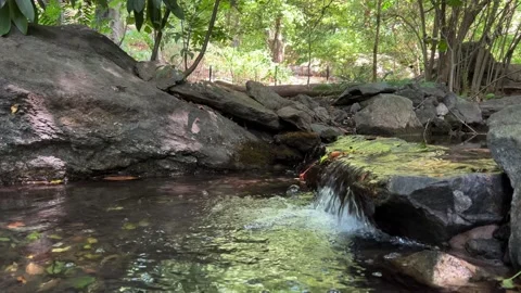 Small Stream In Central Park Stock-Footage 208157007