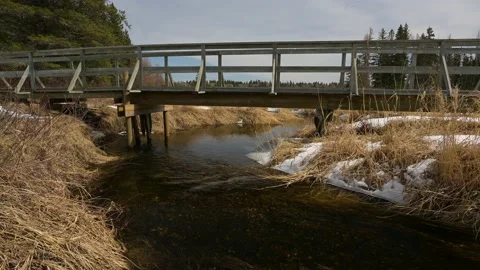A small stream with clear brown stained water running under an old bridge Stock Footage 153280729