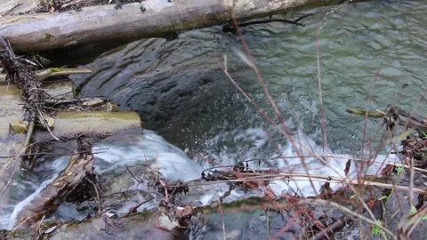 A small stream with clear water flows in the river Stock Footage 152008938