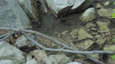 Small Stream Close Up Video stock 62312174