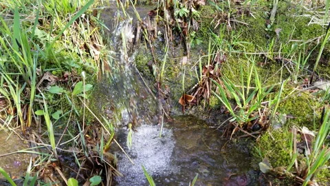 Small stream close up natural background. 4K resolution footage Stock Footage 195953591