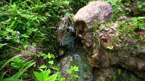 A small stream with crystal clear water, like a waterfall, flows over rocks in a Stock-Footage 263900047