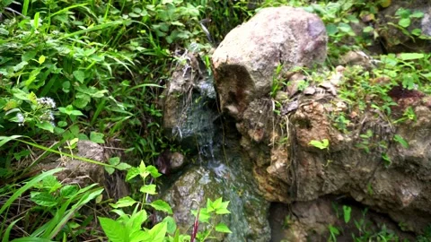 A small stream with crystal clear water, like a waterfall, flows over rocks in a Stockbeeldmateriaal 263900082