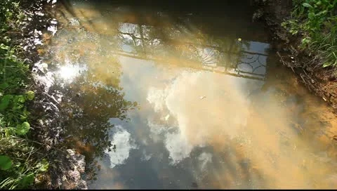 Small stream with dirty water, sky and sun reflection Stock Footage 10892837