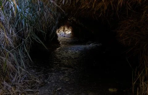 A small stream in the Ein Bokek Reserve in the Dead Sea Stock Photos