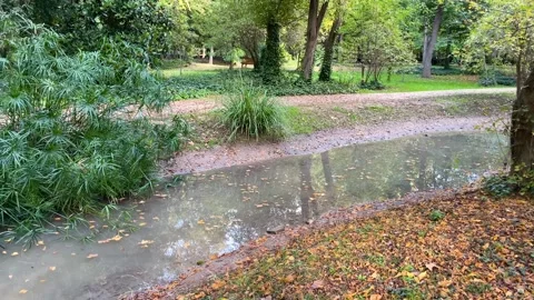 Small stream in El Jardin del Principe, Aranjuez, Spain 스톡 동영상 301685600