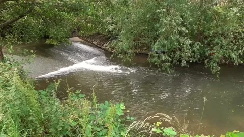 Small Stream England 1 Stock Footage 160486883