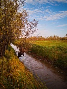 Small stream in the field Stock Photos