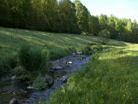 Small stream floating trough meadows and wood Ardennes, Belgium Stock Footage 76260993