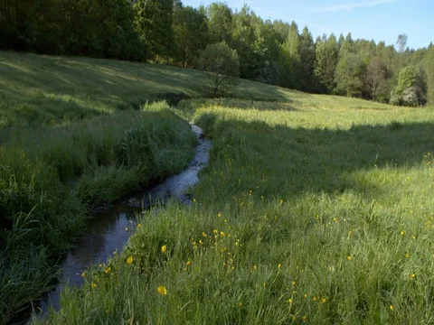 Small stream floating trough meadows and wood Ardennes, Belgium Stock Footage 76261205