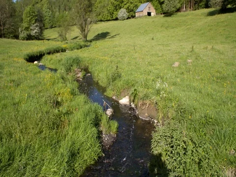 Small stream floating trough meadows and wood Ardennes, landscape Belgium Stock Footage 76261506