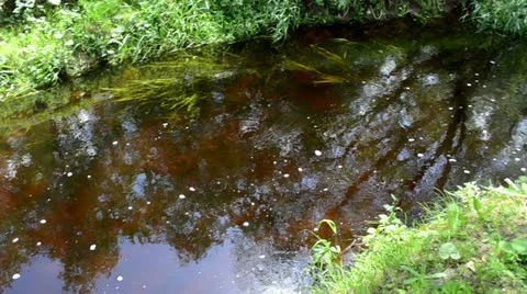 Small stream flow bridge retro old rural log house Stock Footage 22095498