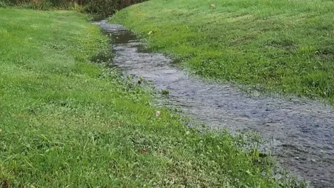 Small stream flowing across lawn Stock Footage 214163384