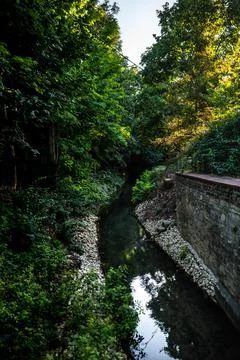 Small stream flowing along an old stone wall amidst dense greenery Foto stock