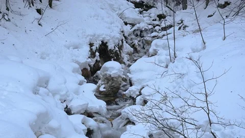 Small stream flowing in amazing pristine nature in winter season Stock Footage 146885879