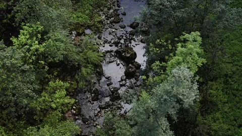 Small stream flowing in between large rocks among lush spring forest Stock Footage 120696946