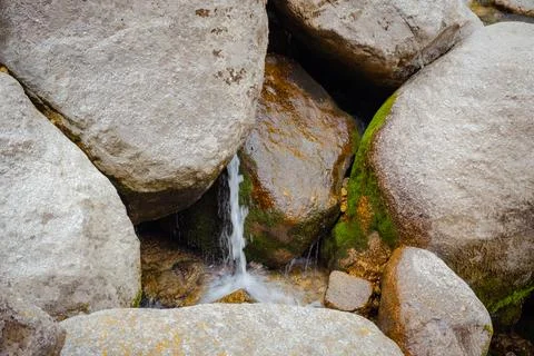 Small stream flowing between mossy rocks Foto stock