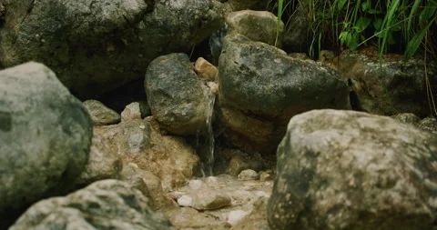 Small stream flowing between rocks in a serene alpine setting in slow motion Stock Footage 310423016