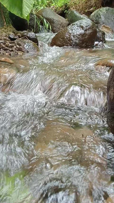 Small Stream Flowing Between Rocks in Natural Forest Setting Stock Footage 330524245