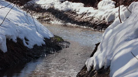 Small stream flowing between snow covered muddy banks in bright sunlight Video stock 331076431