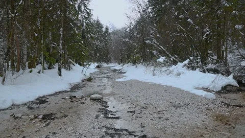 Small stream flowing downstream in green forest Stock Footage 145534934