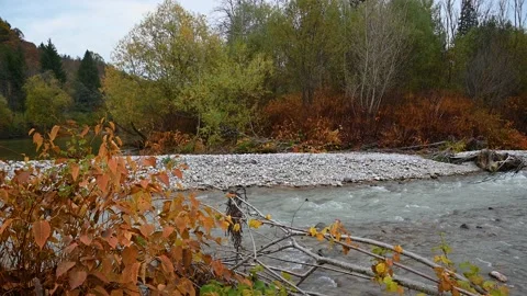 Small stream flowing downstream in pristine nature Stock Footage 171109664