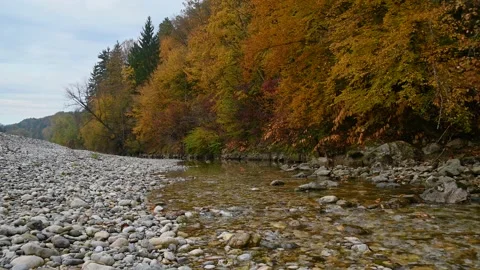 Small stream flowing downstream in pristine nature Stock Footage 183494149