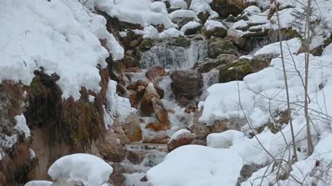 Small stream flowing downstream in serene Alpine valley Stock Footage 145535208