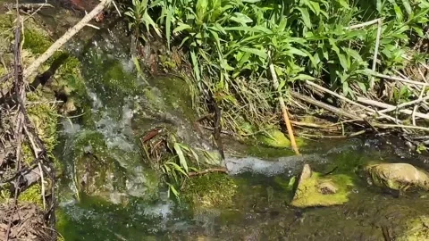 A small stream flowing Stock Footage 153224104
