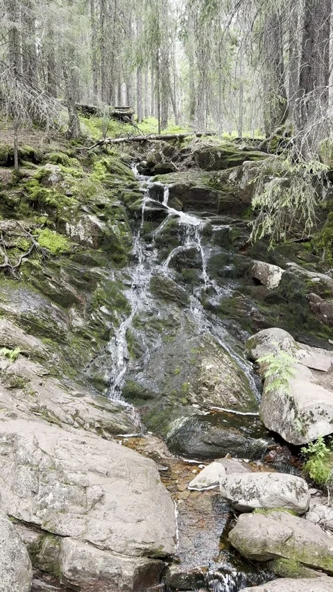 Small stream flowing Stock Footage 340329682