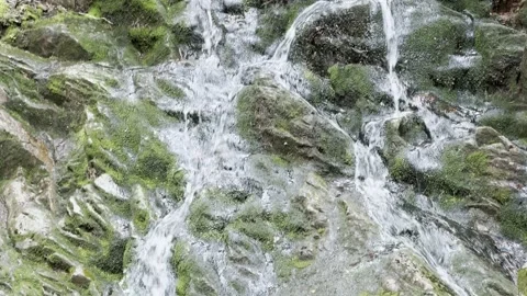 Small stream flowing Stock Footage 340329786