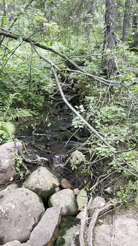 Small stream flowing Stock Footage 340329990