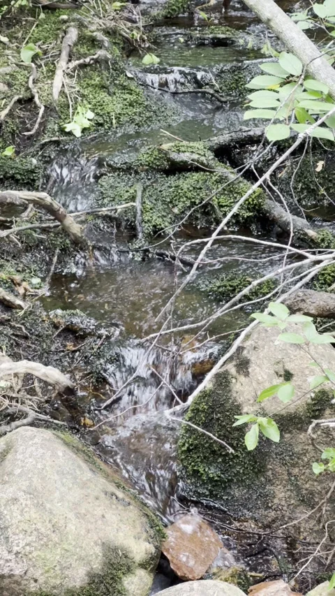 Small stream flowing Stock Footage 340330373