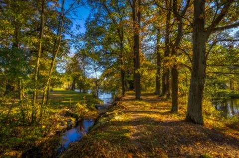 Small stream flowing into lake with path full of colorful leaves with old trees Stock Photos