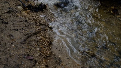 Small Stream Flowing Merrily Down the Valley Stock Footage 121753006