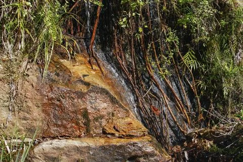 Small stream flowing over large rocks, tree roots, grass and bushes near ty.. Stock Photos
