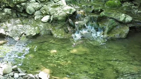Small stream flowing over the rocks. Stock Footage 76275349