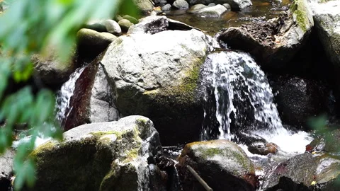 Small Stream Flowing Over Rocks. Small Stream Flowing Over Rocks 動画素材 313347928
