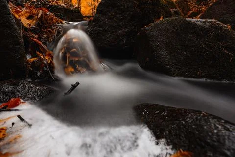 Small stream flowing over rocks surrounded by autumn leaves in forest low a.. Photos
