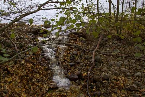Small stream flowing over rocks Stock Photos