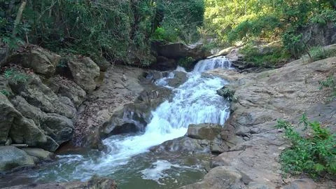 Small stream flowing over rocks in a forest setting Stock Photos