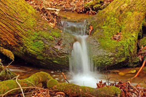 Small stream flowing over a tree trunk Photos