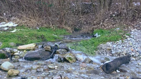 Small stream flowing in pristine nature Video stock 146639263