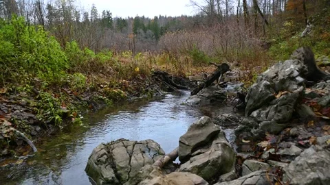 Small stream flowing in pristine nature Stock Footage 167693200