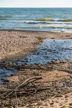Small stream flowing into the sea on a sandy beach with driftwood Stock Photos