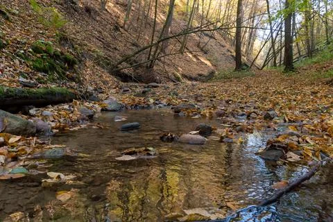 A small stream flowing through a crevice in the forest past rocks and fallen  Stock Photos