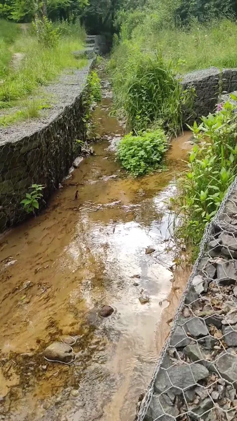 Small Stream Flowing Through Gabion Stone Walls in Nature Stock Footage 341331174