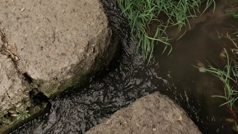 A small stream flowing through a green park, feeding into a river, in a lush sum Stock Footage 284213234