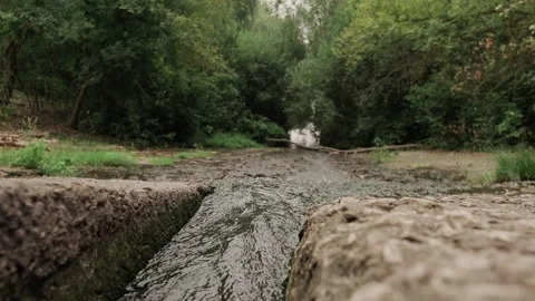 A small stream flowing through a green park, feeding into a river, in a lush sum Stock Footage 284213255